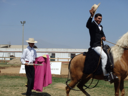 Peruvian Step Horse Show.